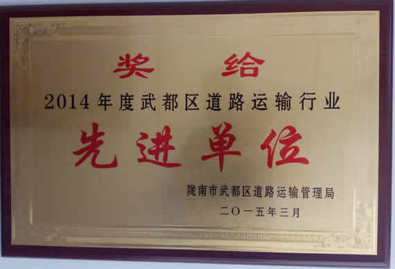 2014年武都區(qū)道路運(yùn)輸行業(yè)先進(jìn)