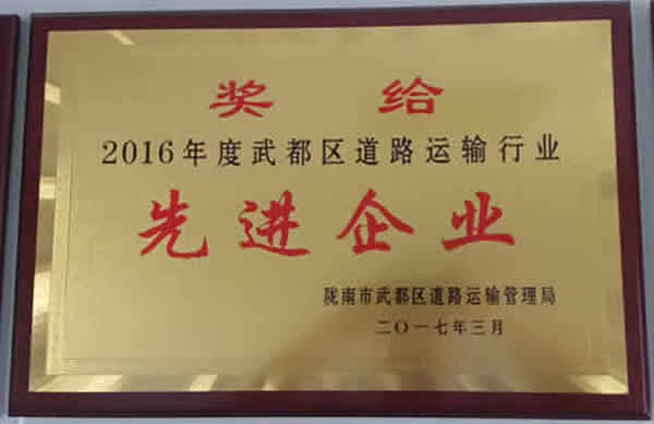 2016年度武都區(qū)道路運(yùn)輸行業(yè)先